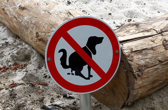 Neder-Betuwe stelt strengere handhaving hondenpoep in