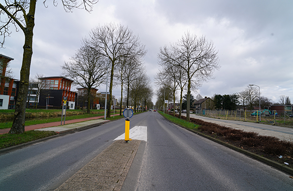 Tiel kapt zieke essen vóór aanvang renovatie Nieuwe Tielseweg