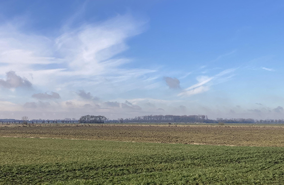 Samenwerkende diensten constateren vier overtredingen in buitengebied