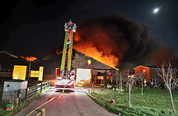 30 schapen omgekomen bij grote brand in Herwijnen