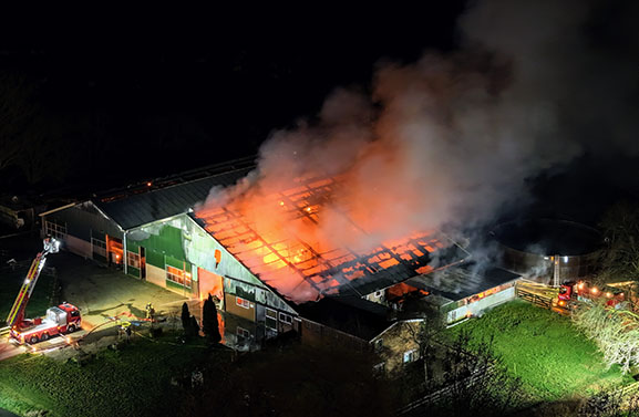 30 schapen omgekomen bij grote brand in Herwijnen