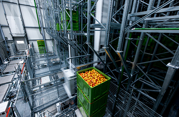 Modernste fruitcentrum van Europa geopend in Geldermalsen