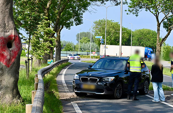 Bestuurster schrikt van wesp en botst tegen vangrail bij Schoonrewoerd