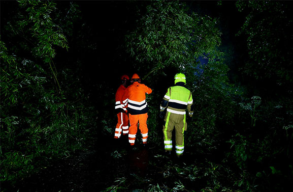 Stormschade in Heukelum: brandweer grijpt in bij omvallende bomen