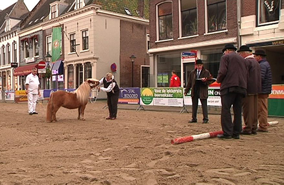 Na Ameide cancelt ook Vianen de Paardenmarkt