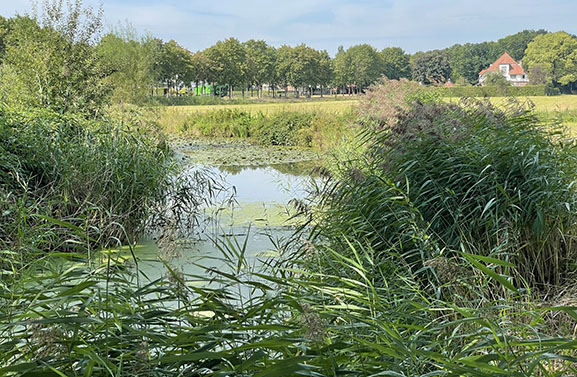 ‘Ecologisch beheer Volencampen laten financieren door omwonenden’