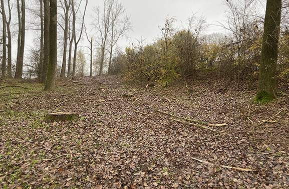 Zorgen om het uiterwaardengebied van de Nederrijn in de gemeente Buren