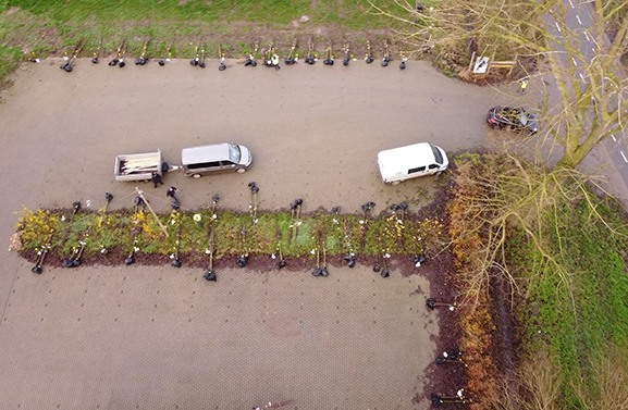 625 hoogstamfruitbomen uitgedeeld in Buren