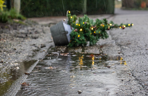 Geen speciale inleverpunten kerstbomen in Culemborg