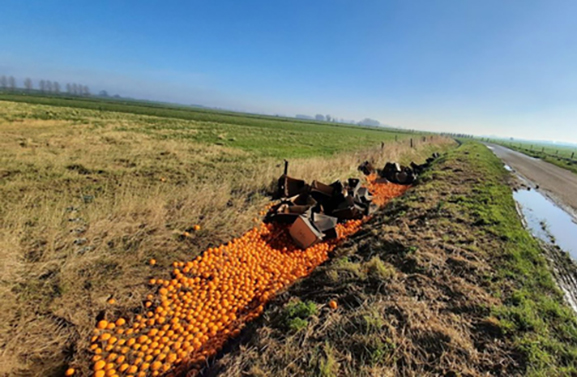 Politie over gedumpte sinaasappels: 'Een partij onverkoopbaar fruit'