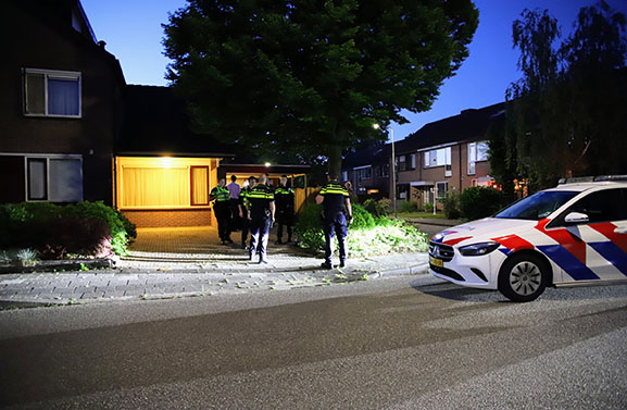 Update: bestuurder gecrashte auto in Tiel had geen rijbewijs