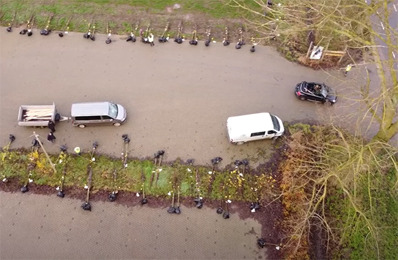 Ook dit jaar fruitbomen voor inwoners Buren