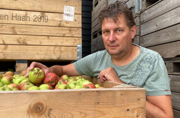 Schade van hagelstorm 19 mei loopt voor fruittelers in de miljoenen