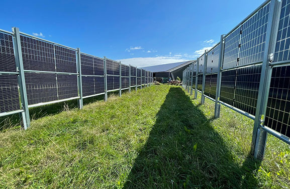 Betuwewind zet in op duurzame landbouw én verticaal zonnepark