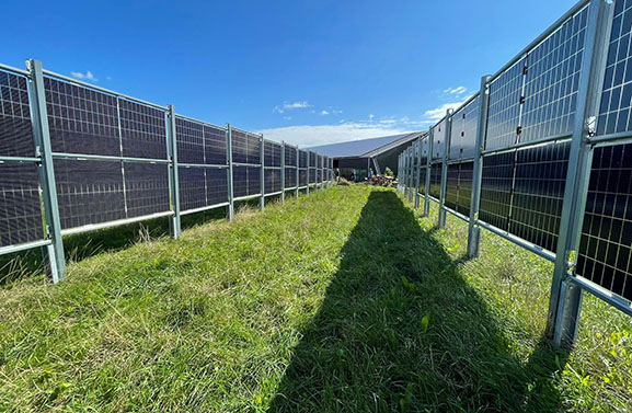 Zonneproject Den Heuvel met verticale panelen opent deuren voor publiek