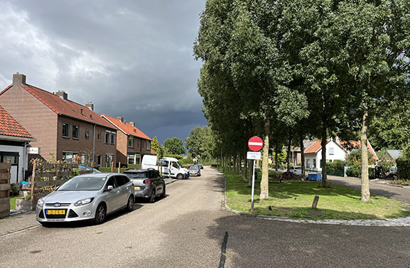 Struikroofdag in Tricht