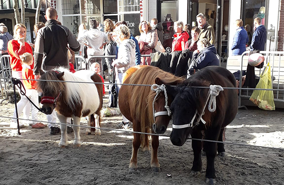 Na twee coronajaren weer een Paardenmarkt in Vianen