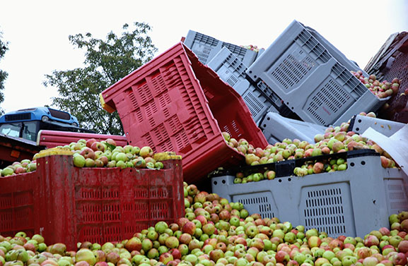 Duizenden appels rollen over straat in Varik
