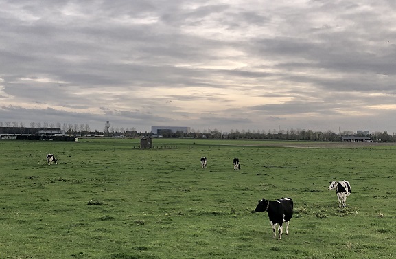 Tiel en Neder-Betuwe boeren goed bij verkoop laatste percelen Medel