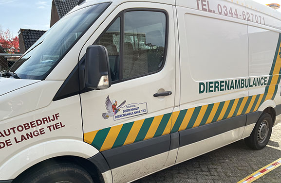 Dierenambulance Tiel rukt uit voor klemzittende ree