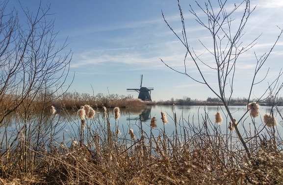 Kwaliteitsimpuls voor natuurgebied de Steendert bij Est