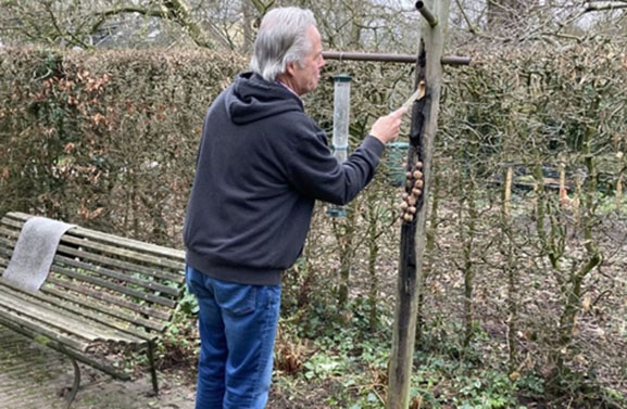 'Kijk een koolmees in de tuin', Gelderland telt weer vogels