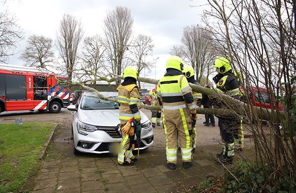 Boom valt op geparkeerde auto bij Sporthal Westroijen in Tiel
