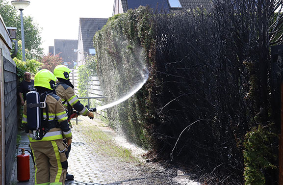 Coniferenhaag vliegt in brand bij onkruidbranden in Tiel