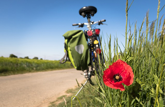 Einde aan sponsorfietstocht Werkplaats voor de Wereld in Culemborg