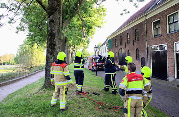 Brandweer haalt gevaarlijke tak uit boom aan Weeshuiswal in Buren