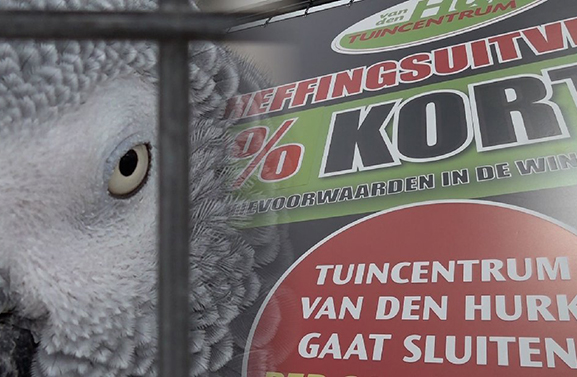 Rocky en Rambo verhuizen, doek valt na 60 jaar voor tuincentrum