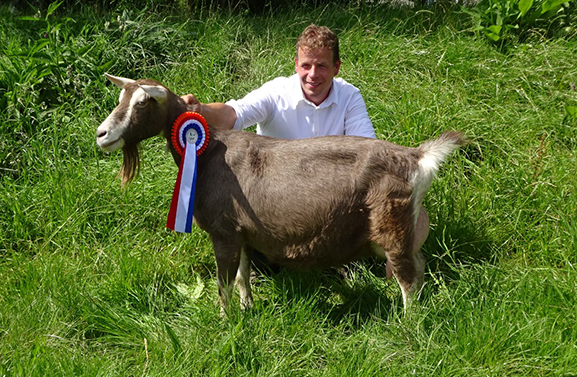 Suzanne 42 wint Kringkeuring voor geiten in Lexmond