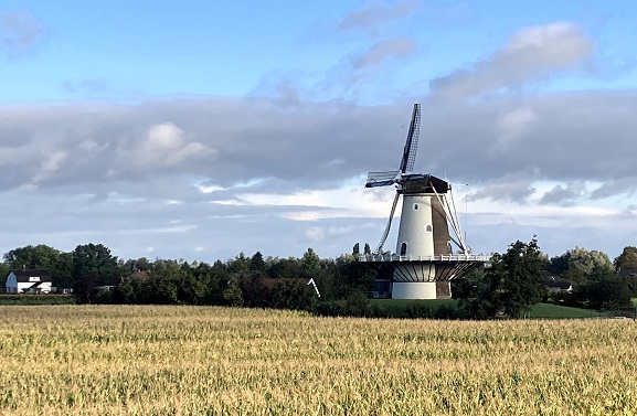 Holland Molenland 13: Korenmolen De Bol in Varik