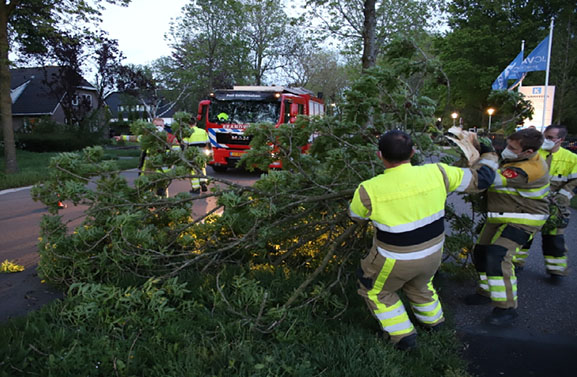 Grote tak uit boom gewaaid aan de Tielerweg in Geldermalsen