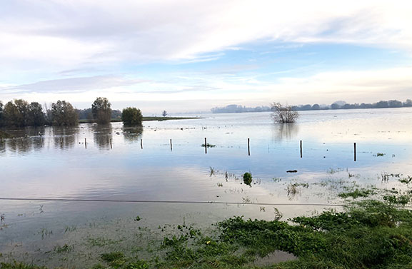 Dijkverzwaring loopt vertraging op door hoogwater