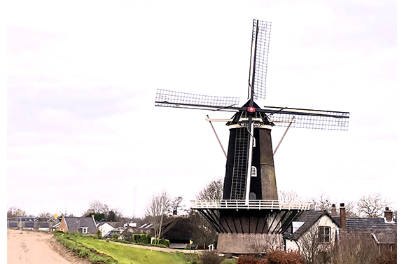 Holland Molenland 17: De Blauwe Reiger Haaften