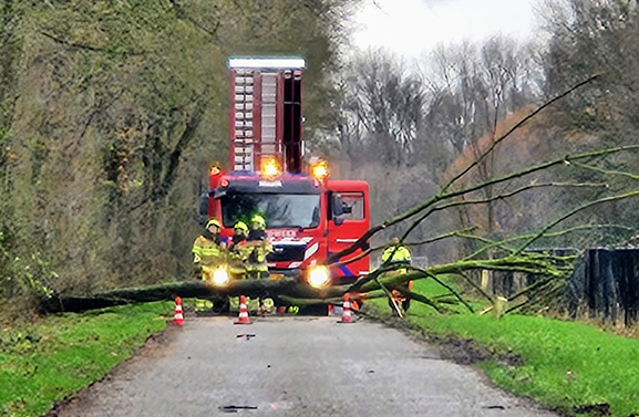Omgevallen boom verspert Oost Kanaalweg in Zoelen