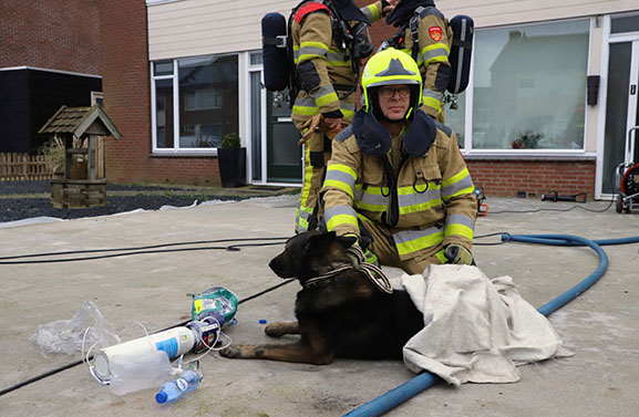 Woningbrand aan de Reigerstraat in Maurik, huisdieren gered