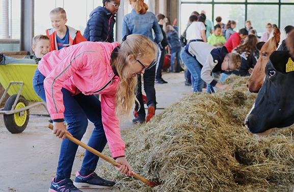 10 jaar Boerderij Educatie Rivierenland, al 12.500 scholieren ontvangen