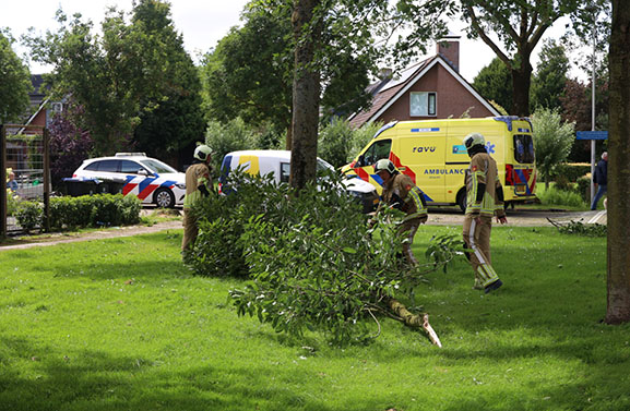 Vrouw gewond door afgebroken tak in Leerdam