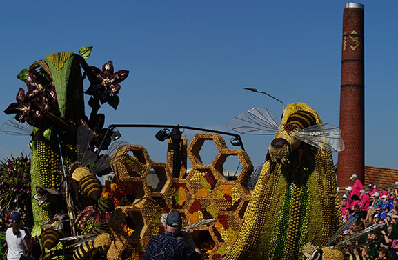 Fruitcorso 2024 sfeerreportage