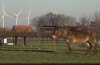 Hier maken ze een vuist tegen commerciële energieboeren