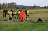 Brandweer redt paard uit sloot langs de Veldweg