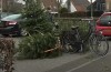 Gemeente Neder-Betuwe stopt met belonen van ingeleverde kerstbomen